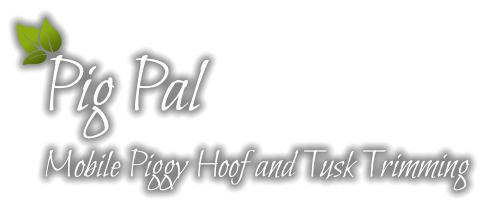 Pig Pal  Mobile Piggy Hoof and Tusk Trimming